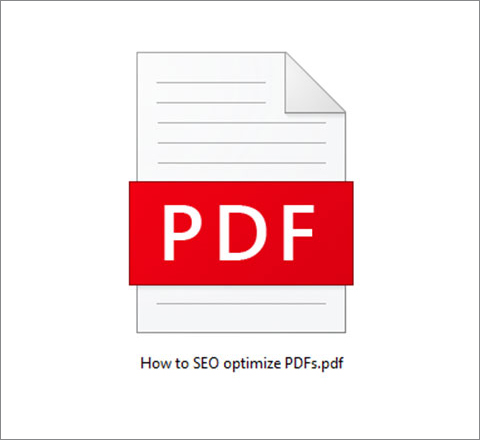 PDF File Name